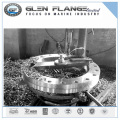 Alta pressão DIN/ASME/ANSI/En 1092-1 Flanges